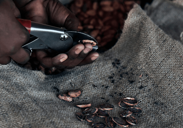 Chocolate Origin