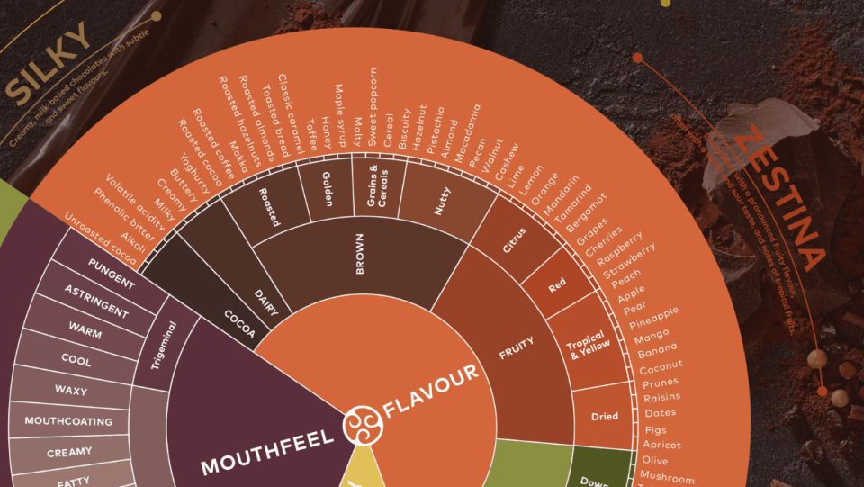 Callebaut Taste Wheel teaser to decode flavours and find your chocolate taste match