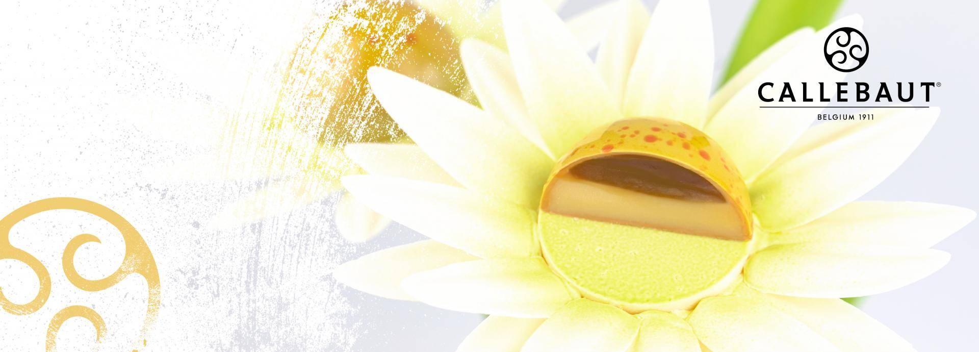 <callebaut> <шоколад> <рецепты> <конфеты> <темперирование> <шоколадная плитка> <декоры mona lisa>